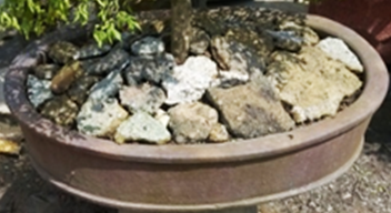 SP-BC004